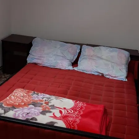 Dom wakacyjny Vikendica Drinski Konak *
