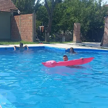 Vikendica Drinski Konak Dom wakacyjny